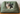 Pet Bed - Green